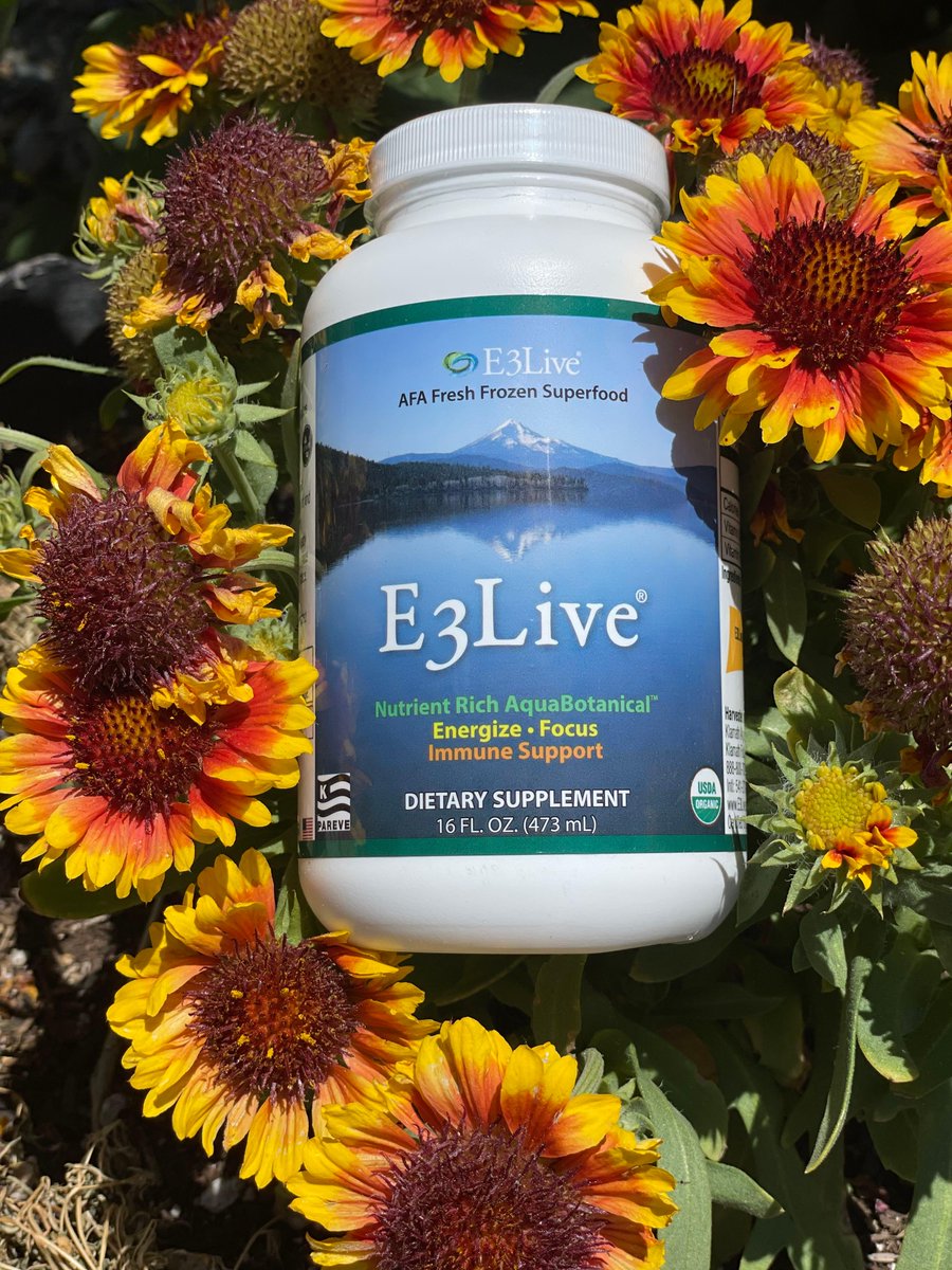 e3live's tweet photo. We are thankful for you ๐งก
And thankful for this precious gift from Mother Nature - E3Live.
Wild-grown
Single-cell
Fresh-water
Blue-green algae
Aphanizomenon flos-aquae
๐๐
#e3live #freshfrozenbluegreenalgae #nothingadded #naturesenergydrink #organic #vegan #rawvegan https://t.co/kBKVNAdp76