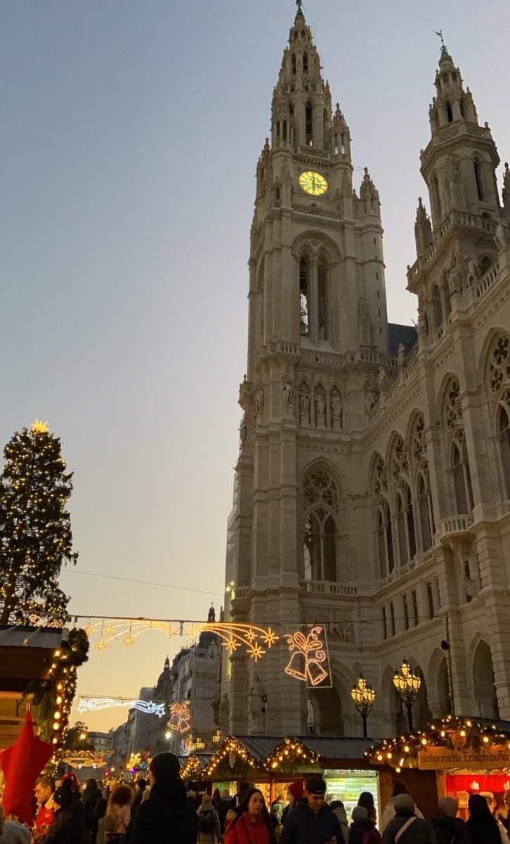 🎄✨Jingle Bells ✨🎄

*и довольная я*

📍 Vienna Christmas market (Weihnachtsmarkt)