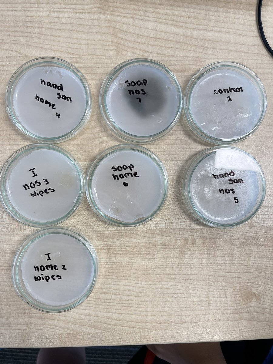 HopeGriffin_'s tweet photo. We are preparing for our science fair. ๐งช๐งซ ๐ ๐ ๐ It is so great to see such a variety in our learnerโs experiments - all of which were started in lockdown and are continuing in the hub! @StonefieldsSch #science #nzedchat https://t.co/eHDhcPNMyf