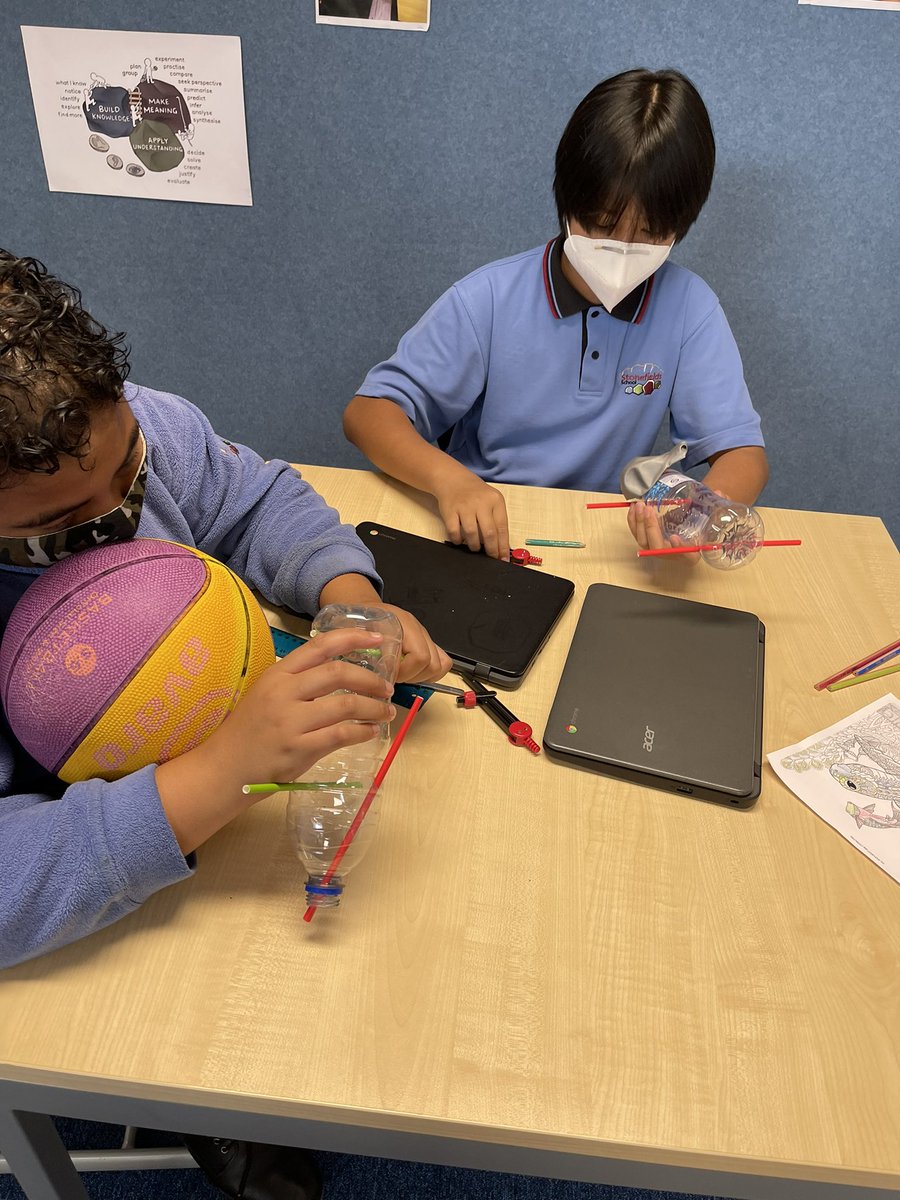 HopeGriffin_'s tweet photo. We are preparing for our science fair. ๐งช๐งซ ๐ ๐ ๐ It is so great to see such a variety in our learnerโs experiments - all of which were started in lockdown and are continuing in the hub! @StonefieldsSch #science #nzedchat https://t.co/eHDhcPNMyf