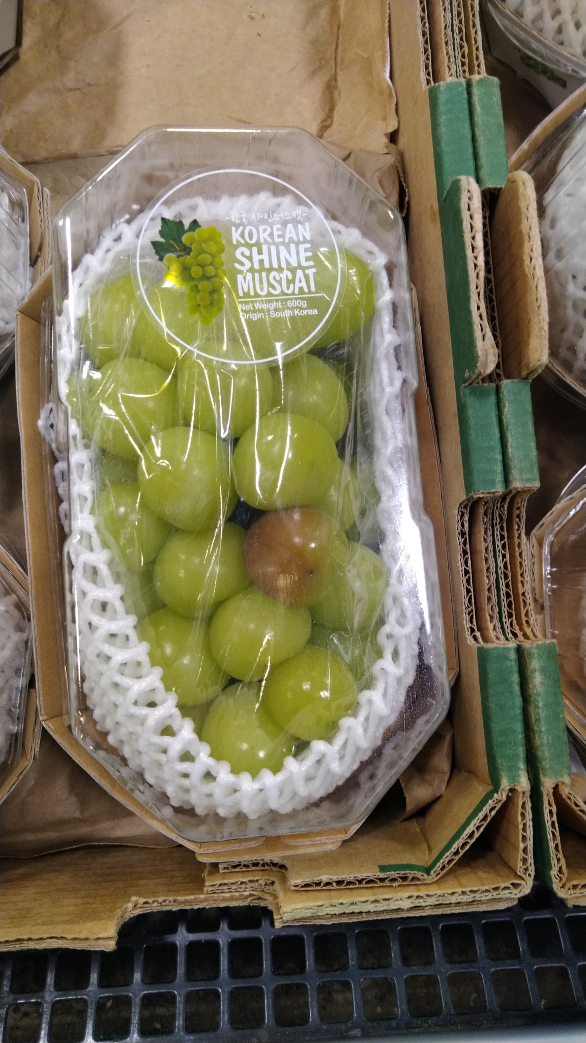 マスカット Twitter Search Twitter