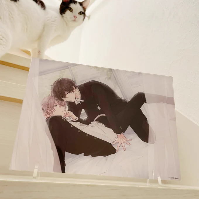 シェリプラス10周年記念展のグッズ見本頂きました〜🌼ミニ色紙のフチがピンクでかわいい😻アクリルボードとってもキレイに作って頂いたので、是非お迎えして下さると嬉しいです🐥🐰ポストカードは売り切れ中ですが会場で受注して下さってるそうです!
#cheri10th
#セブンティーンシロップス 