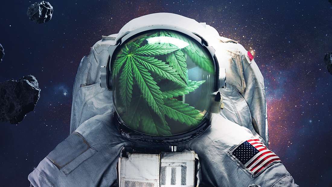 We are preparing the rocket for launch, a little more and #tothemoon

#XCannabis #giveaway after 24 hours
😚💨🚀