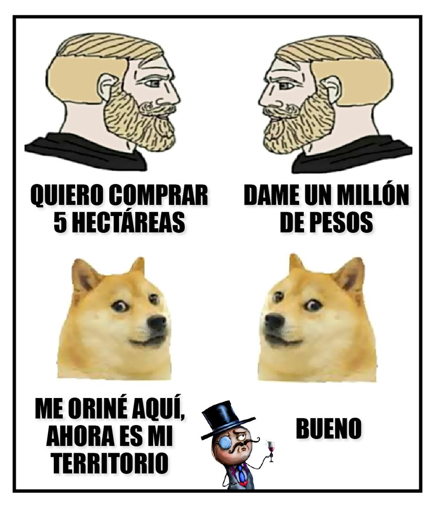 LaGuiaDelVaron's tweet photo. https://t.co/nlav6y1F4N
