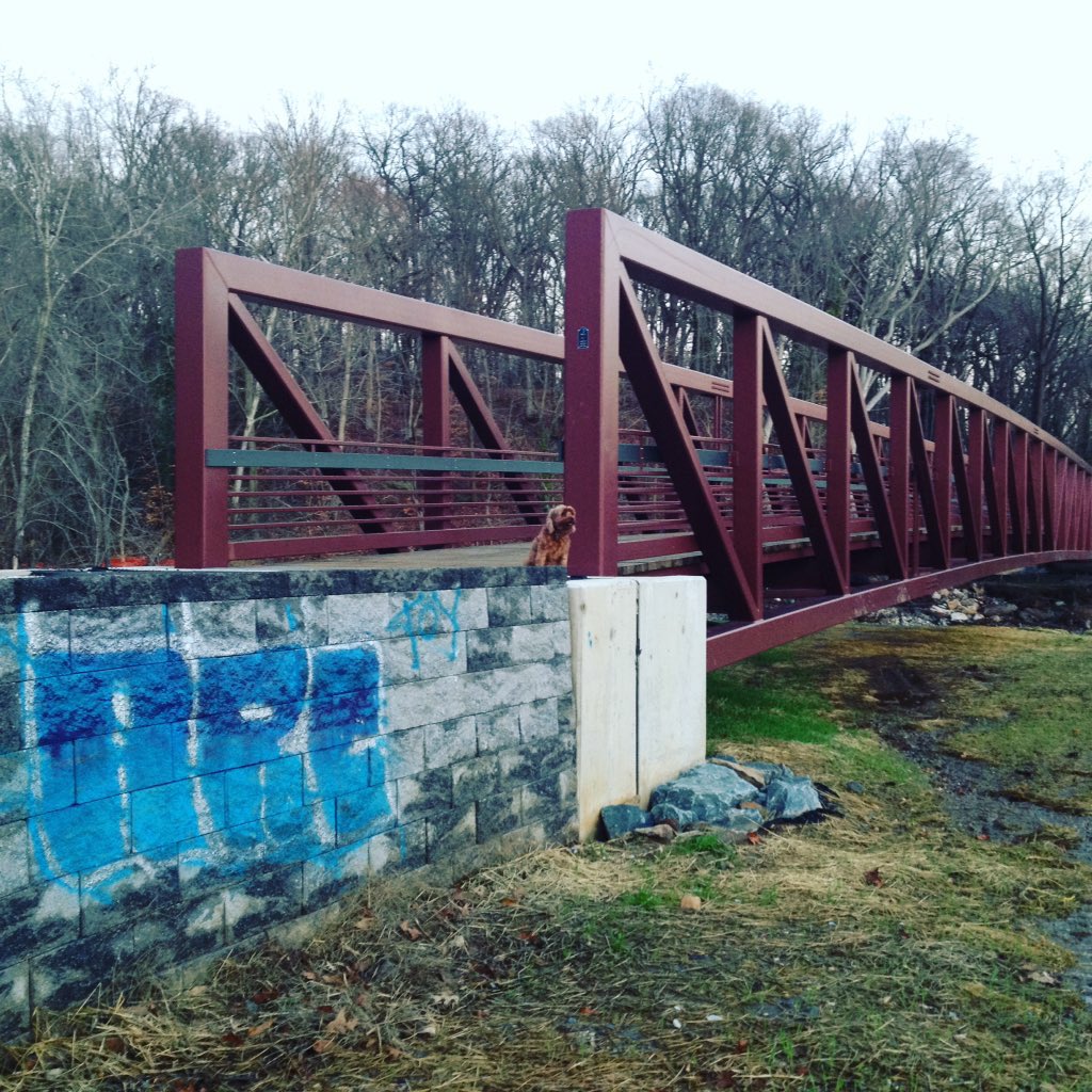 timkaye's tweet image. Since we’re giving thanks today, I’d like to thank my best friend of 15 years: Stella. She was the best companion and protector and probably saved me in ways I’ll never know…