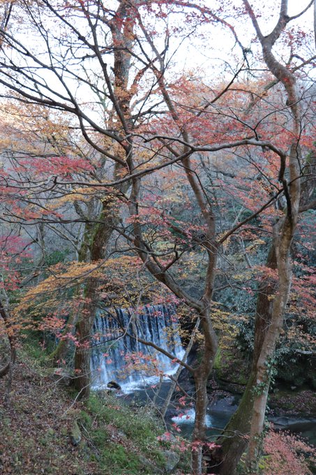 花貫渓谷の紅葉 茨城県 紅葉名所21 ウォーカープラス