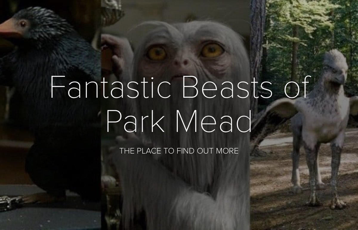 Park Mead tweet media