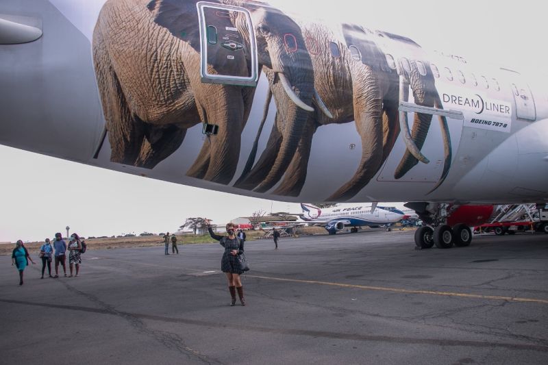 AleckyJames's tweet photo. There are only two surviving northern white rhinos in the world; Najin and Fatu. They are now aboard @KenyaAirways Dreamliner. Things you love to see. #FlyTheMagic #LiveTheMagic #MagicalKenya https://t.co/Evg2fSm196