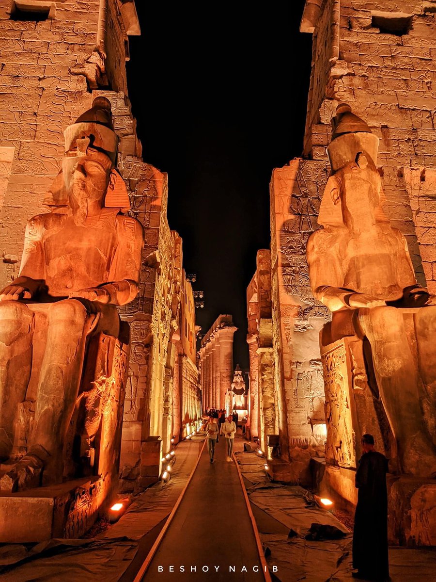 HelmyMoha1's tweet photo. This is Egypt 🔥♥️
#طريق_الكباش https://t.co/5LCREp9toO