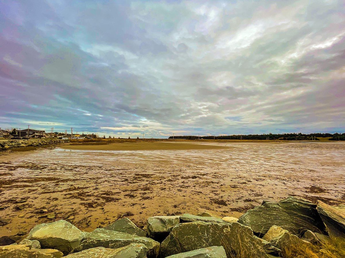 Suzy The Explorer tweet media