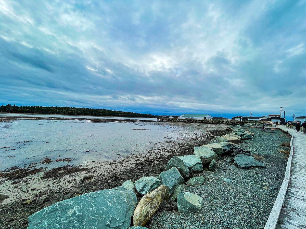 Suzy The Explorer tweet media