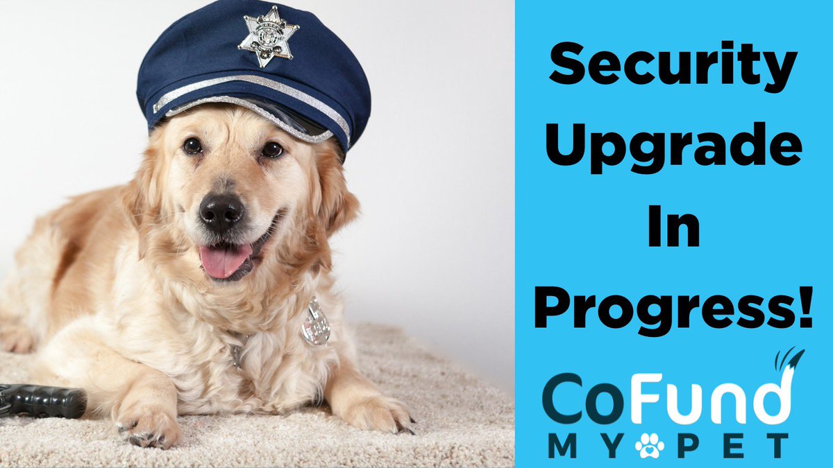 Update: we’ve made progress with our security update; so sorry that it’s taking so long.

The only functionality we have not working is ordering new debit cards. You can still fundraise and use cards you have.

If you need to know your balance or load your card, message us.