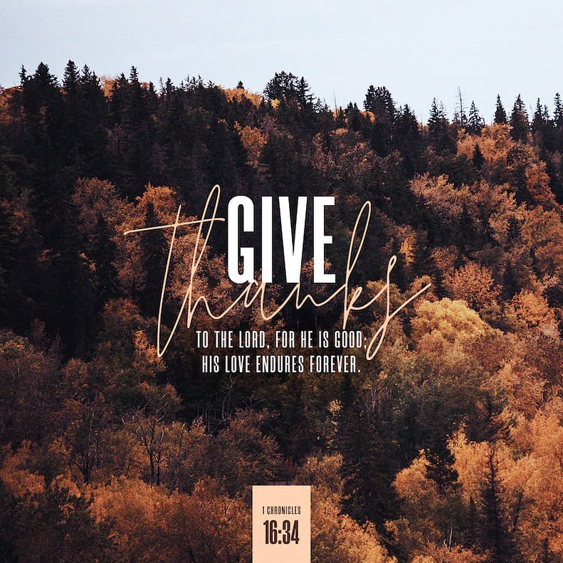 garberelectric's tweet photo. Happy thanksgiving from the Garber team! There is so much to be thankful for this season. For what are you most thankful?
.
.
.
#thanksgiving #thanks #thankful #grateful #thankyou #teamwork #family #familyowned #garberteam https://t.co/aAXxHyCkVA