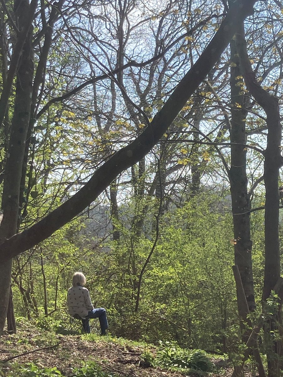 We've just found out that the category we're shortlisted in at the Tech Southwest awards tonight is a 'people's choice' category - please vote for us and share! surveymonkey.co.uk/r/peopleschoic…
🌳💚