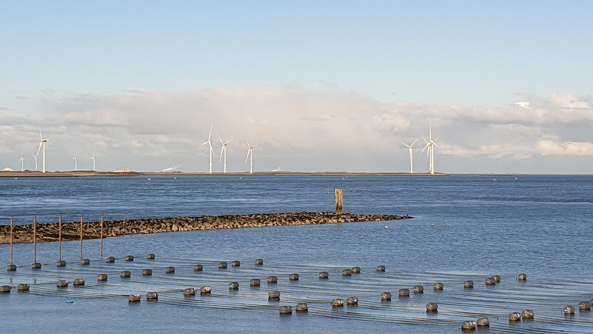 And then it turned into a beautiful day at the <a href="/zeewaar/">Zeewaar</a>  farm. 🌊😇💃💪