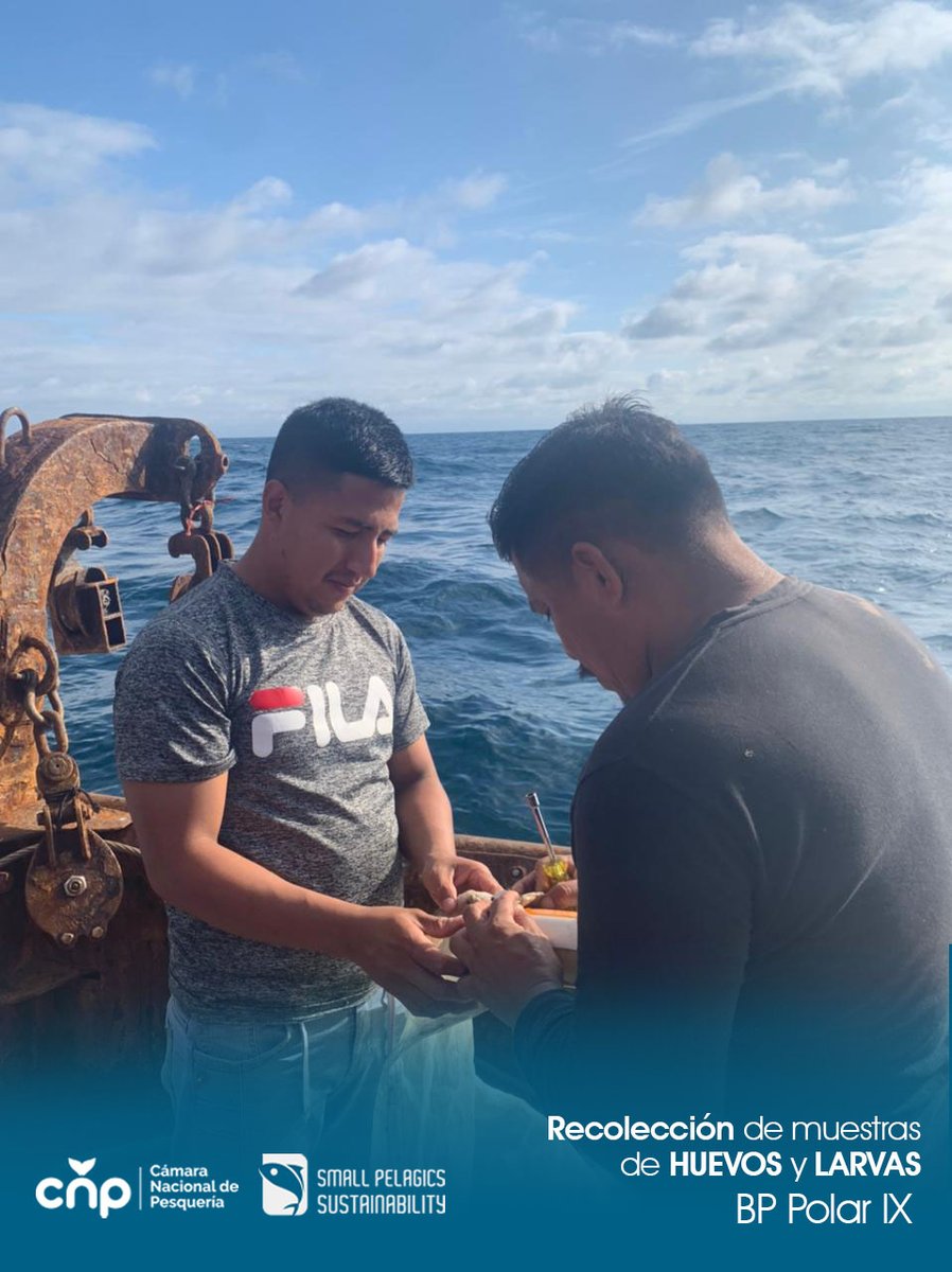 Desde el BP Polar IX también realizan la recolección de muestras de huevos y larvas con la participación activa de su tripulación ¡Sigamos adelante por un mejor conocimiento de nuestros recursos pesqueros! 💪💯🐟
