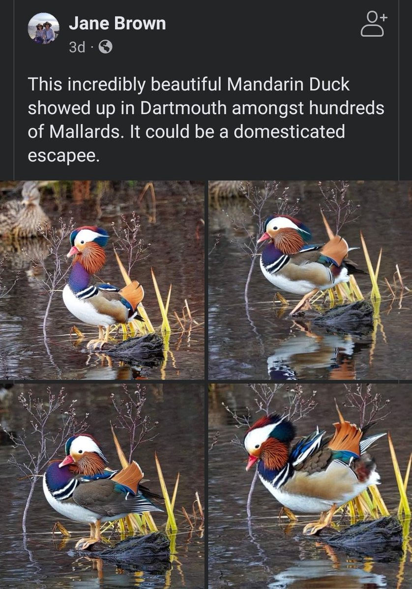 Katy Jean tweet media