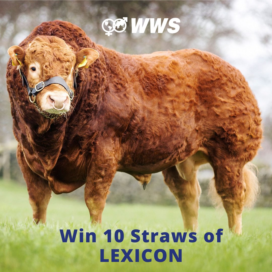 WWS Ireland tweet media