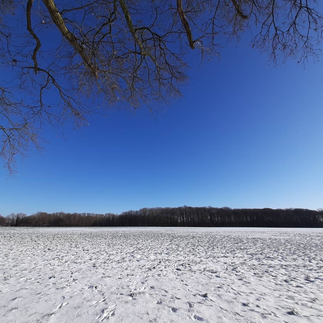 Rolandbroos's tweet photo. Ik vraag iedereen die van natuur houdt een zelf genomen foto te plaatsen. Alleen foto, geen tekst. Doel is om beetje rust en balans in de negatieve sfeer te creëren. Doe je mee? Kopieer tekst en plaats natuurfoto op je eigen tijdlijn. Dan kunnen we met z’n allen ervan genieten. https://t.co/FU3HaIgMet