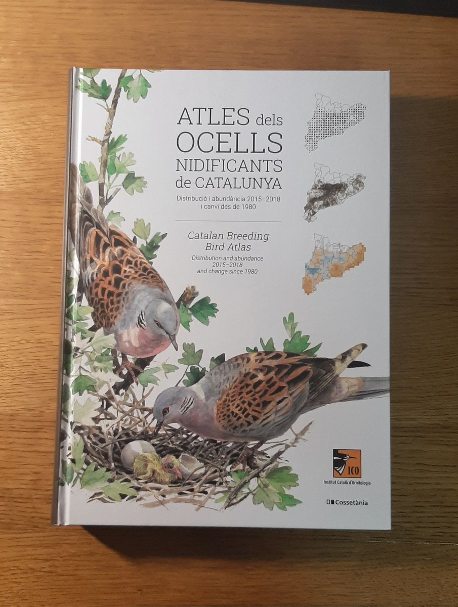 JaroaLopez's tweet photo. Ja està a casa aquest tresor🤩
@ICOcells @WebOryx @Cossetania 
@MartiFranch @tonixllobet https://t.co/39kc8dabmp
