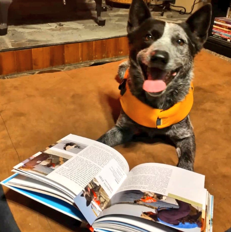 <a href="/rainashine/">Raina Delisle</a> <a href="/isabellegroc/">Isabelle Groc</a> <a href="/orcabook/">Orca Book Publishers</a> We're so excited <a href="/isabellegroc/">Isabelle Groc</a>'s new book, Conservation Canines, made it into <a href="/hakaimagazine/">Hakai Magazine</a>'s coastal kids round up of pawsome books! We couldn't agree more! Here's orca scat detection dog, Dio, giving it four paws-up. 🐾🙏🏾💙🐳