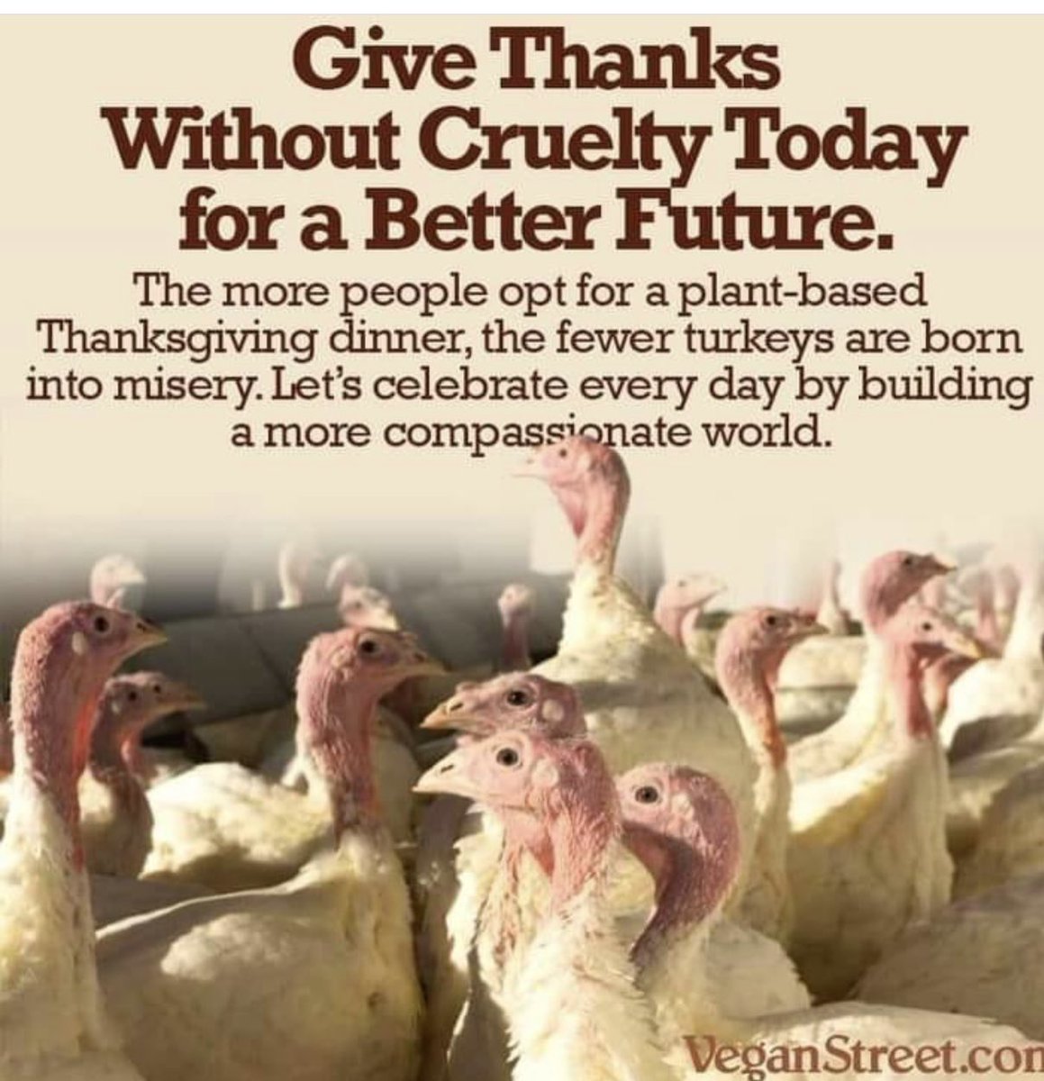 Let’s give thanks with compassion. #GoVegan #GiveThanks