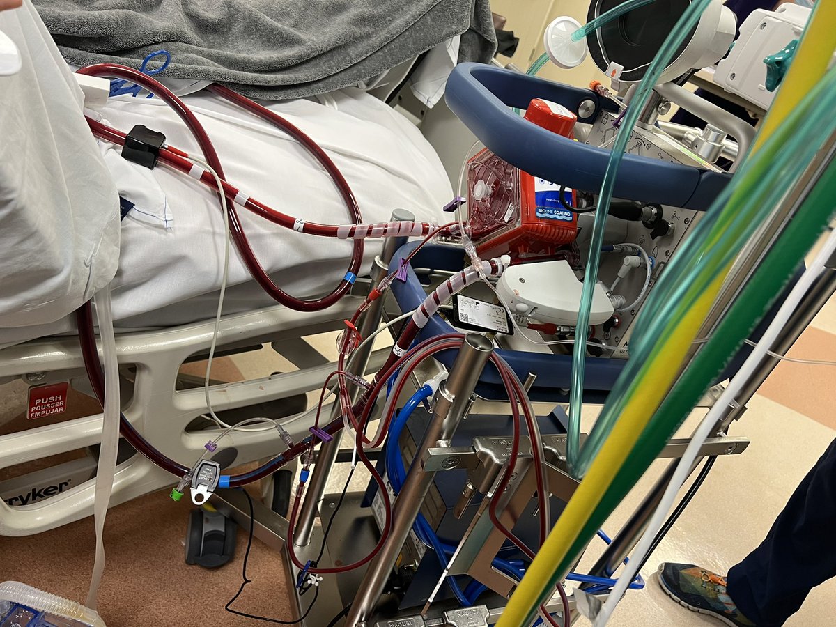 JHMontfort10's tweet photo. Grateful to witness at home transformational resiliency and excellence in #ECMO #teamofteams @christusmuguer1 🇲🇽 led by 🌎 leader and living legend Dr. Rene Gomez @ELSOOrg @ELSOeducation - for many more days of enriching collaboration across @bswhealth_Templ @bswhealth_ATX @ISHLT https://t.co/NRwG1bdmc8