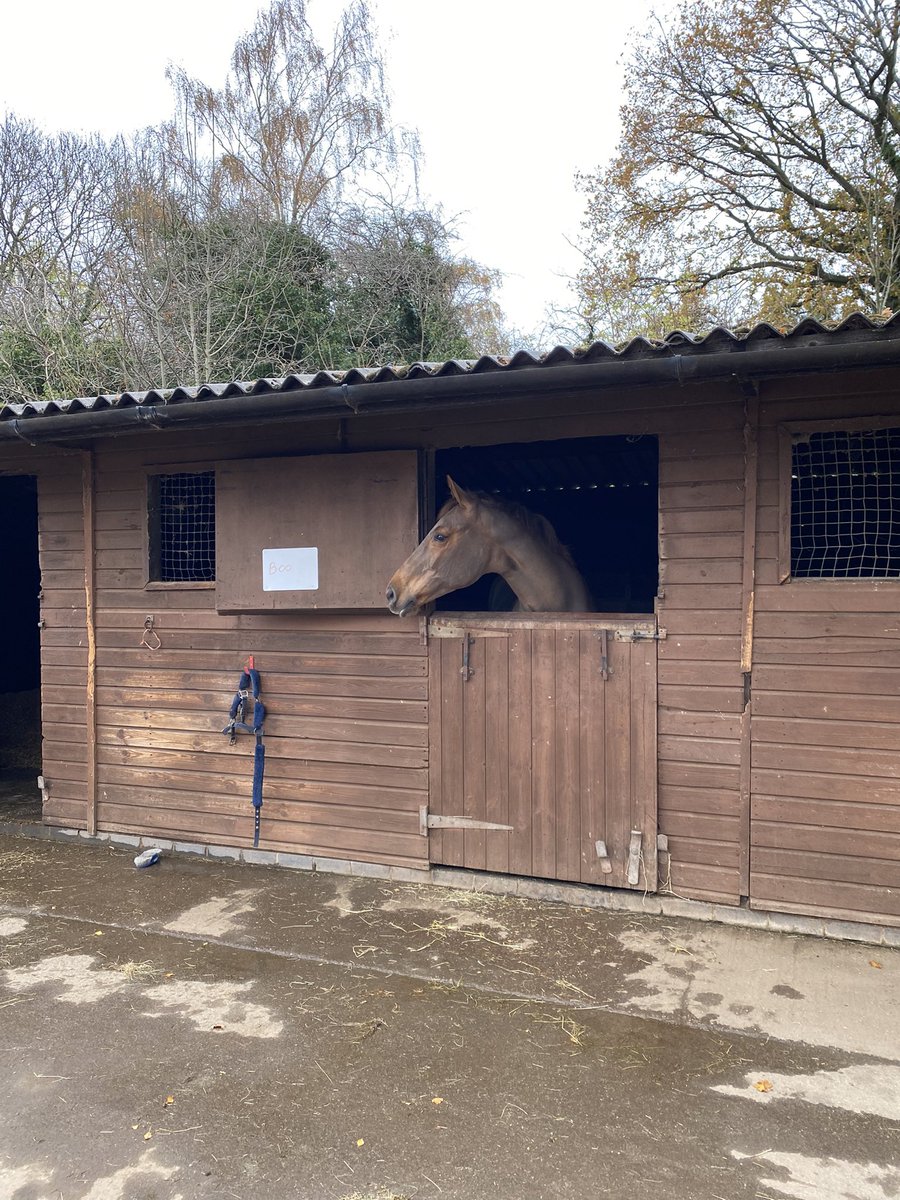 Almost two years off but was great to get back on the saddle again 👌🏾