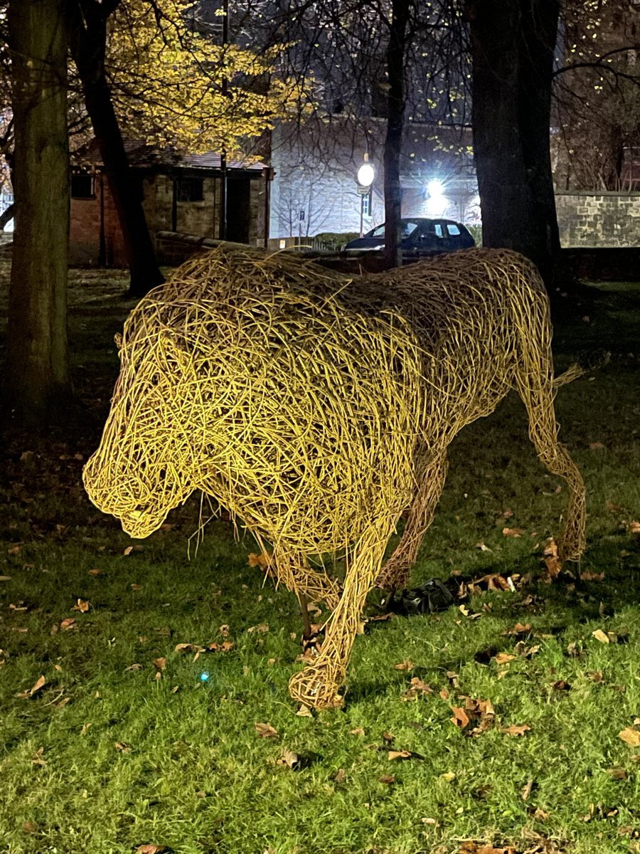 Watch out there’s a Fantastical Beast on the loose #BarnsleyBrightNights <a href="/BarnsleyCouncil/">Barnsley Council</a>