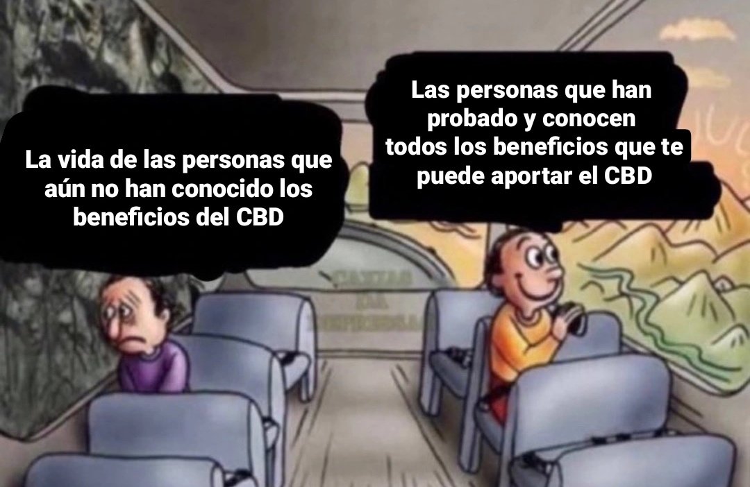CbdeliciousE's tweet photo. ¿Y vosotr@s qué tipo de personas sois?

#Memes #CBD #CBDonline #viral #TikTok #CannabisLegal #CBDespaña #floresCBD #cremasCBD #CBDoil #instagram https://t.co/FqZKa04Ui7