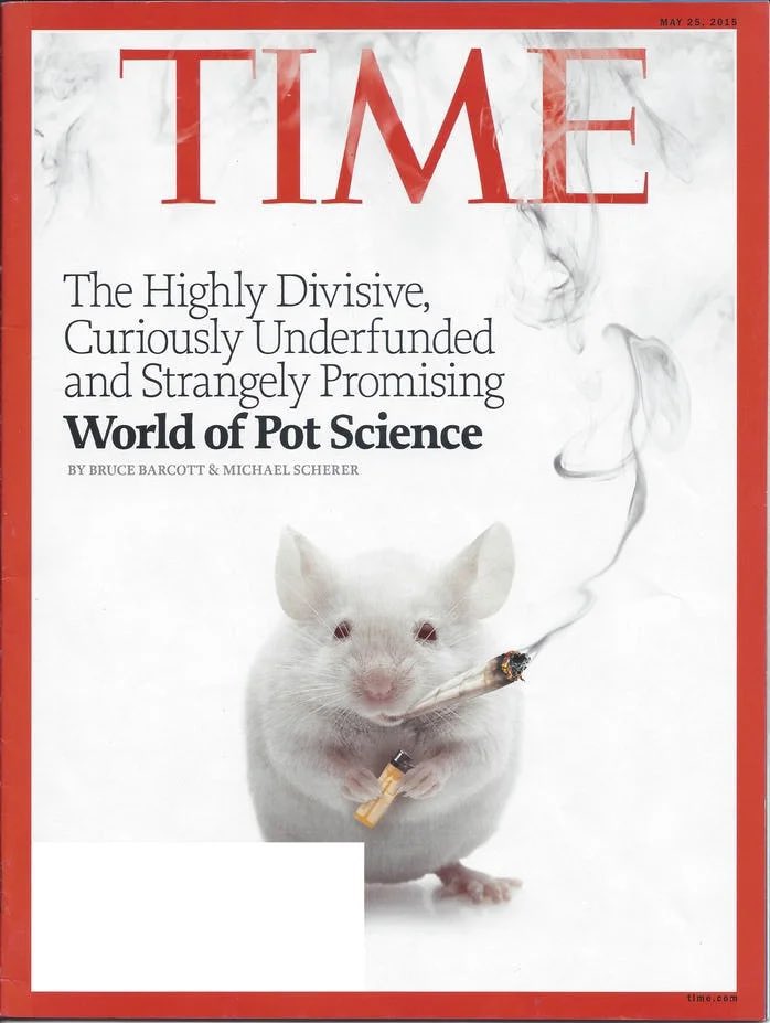 mattob_eth's tweet photo. You might think you’re cool

But you will never be as cool as this mouse with a joint &amp; miniature lighter. https://t.co/GYls79Ux6x