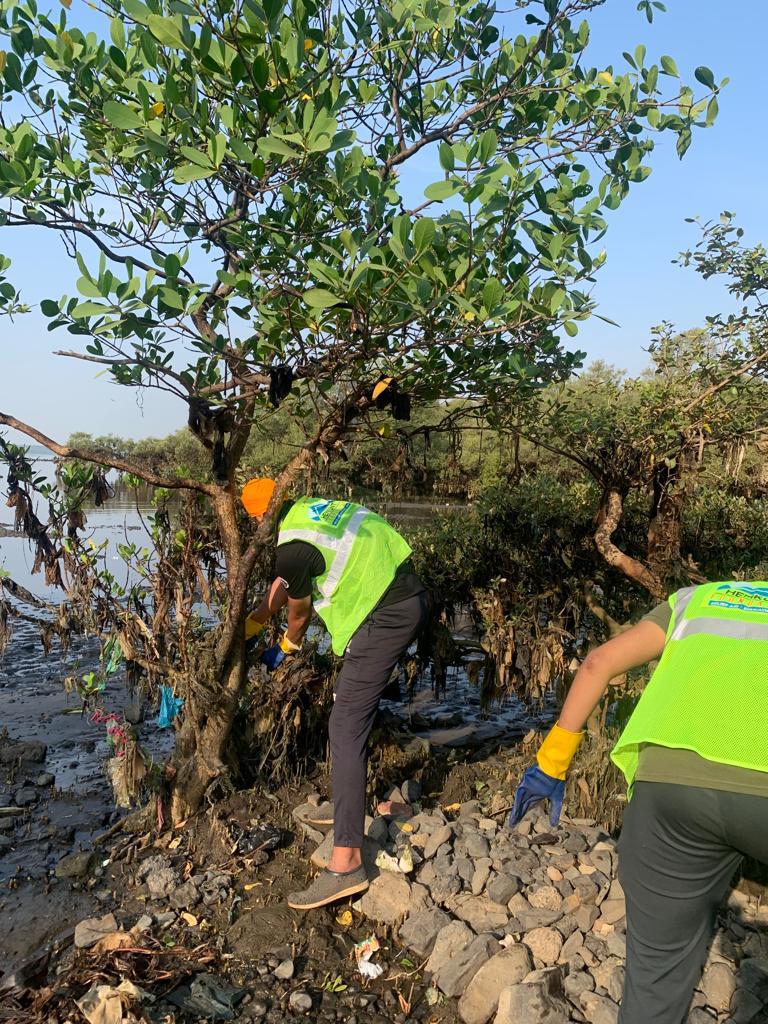 JacobsonLucas's tweet photo. Friends in Mumbai doing an heroic job freeing mangroves from plastic! #climatechange @cartercleanup #sofreschandsoclean #fridaysforfuture #greatatoasia #plasticpolution #mangrovecleanupmumbai #theSolution #cartercleanup https://t.co/XRP8RpAVbJ