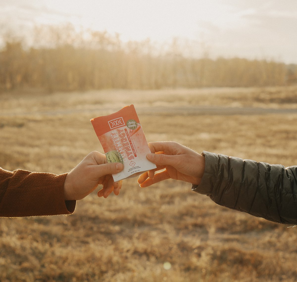 Sharing Dixie is sharing love. 🤟 
Wishing everyone a safe and happy Thanksgiving! 

Nothing for sale! 21+ only!
#SharingIsCaring #DixieGummies #synergywellness #gratitude #thankful