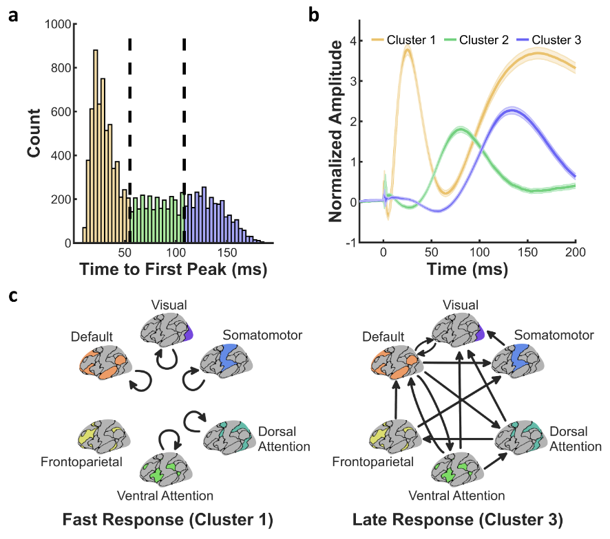 Inter-network vs. Intra-network signal flow examined with direct electrical perturbation of the human brain. pnas.org/content/118/48…