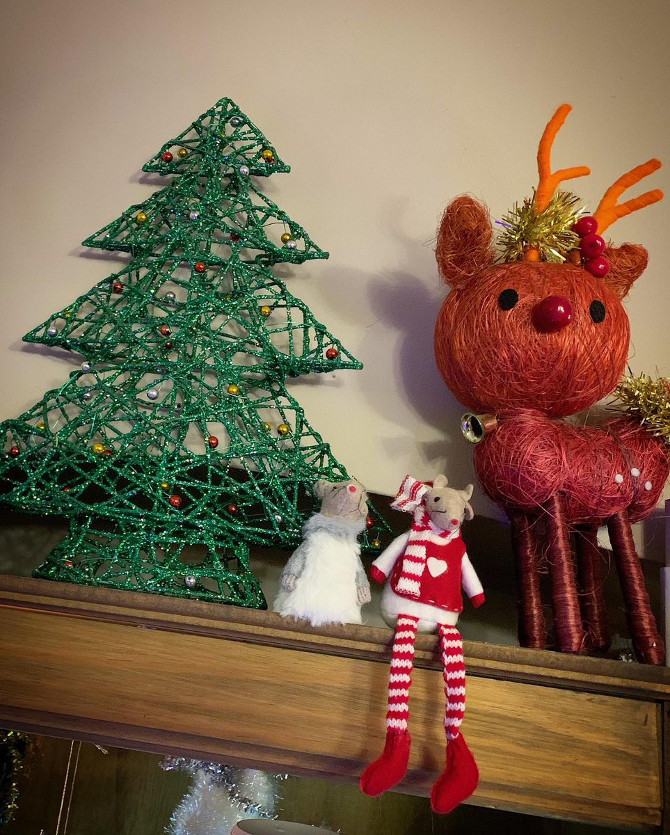 NatCBrooks's tweet photo. Feeling festive now the decs are up! 🥰🎄🎅🏼🦌✨ @SimonGBrooks
#festive #feelingfestive🎄 #treesup🎄 #merrychristmas🎄 #memories #husbandandwifeteam #daytogether❤️ #christmas #christmastree🎄 https://t.co/B97gg2cgQ0