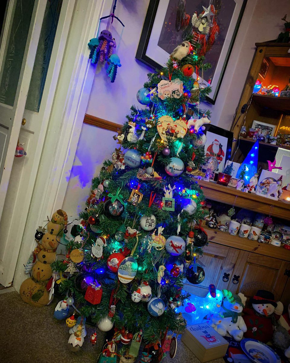 NatCBrooks's tweet photo. Feeling festive now the decs are up! 🥰🎄🎅🏼🦌✨ @SimonGBrooks
#festive #feelingfestive🎄 #treesup🎄 #merrychristmas🎄 #memories #husbandandwifeteam #daytogether❤️ #christmas #christmastree🎄 https://t.co/B97gg2cgQ0