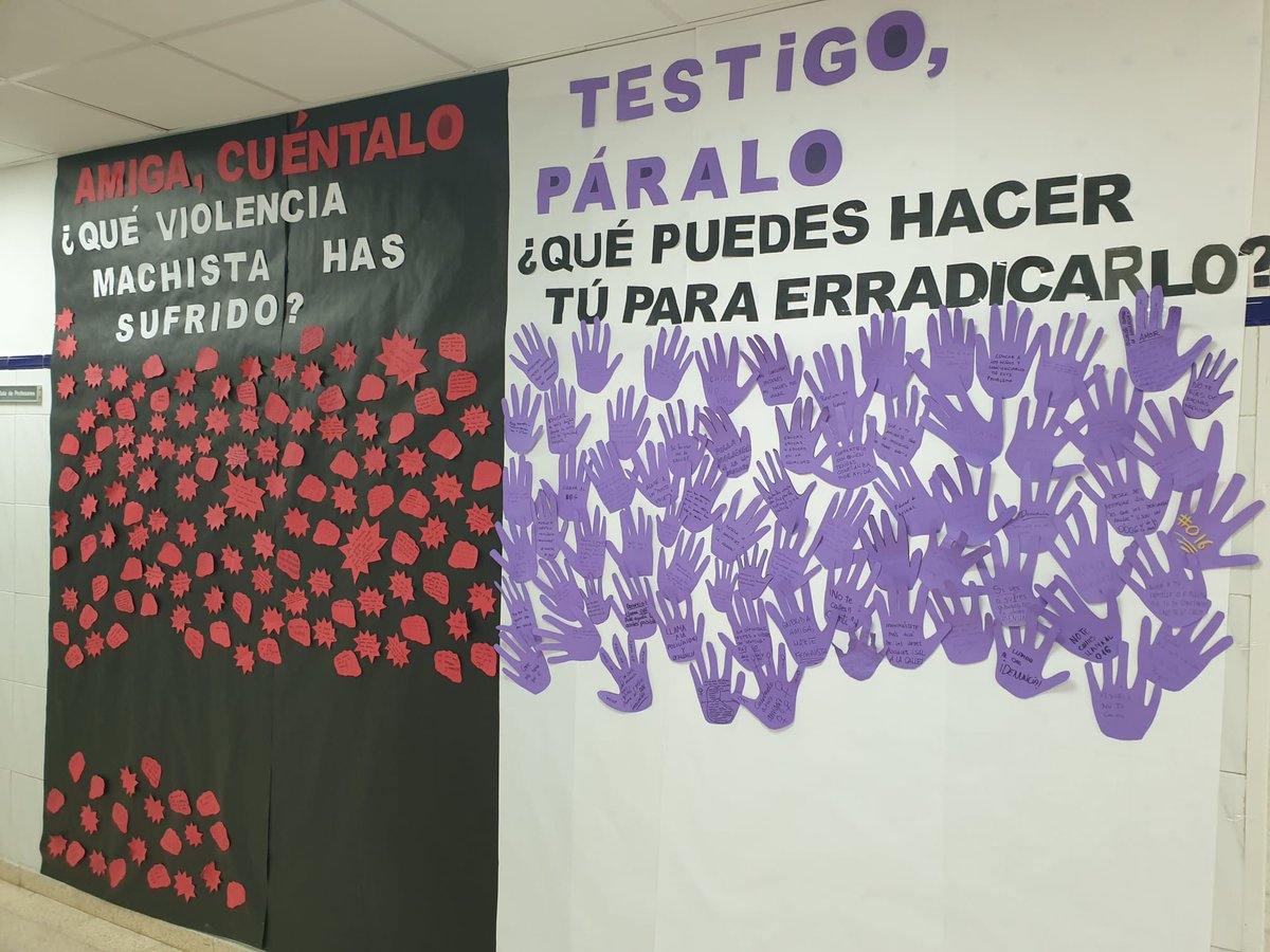 Nuestro instituto contra la violencia de genéro