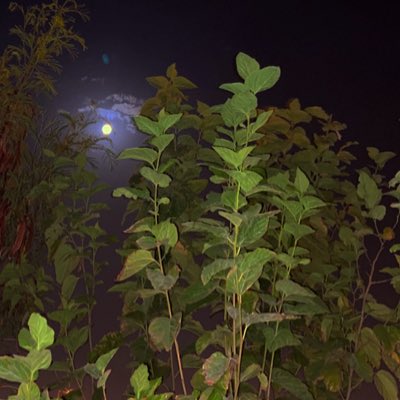#NewProfilePic