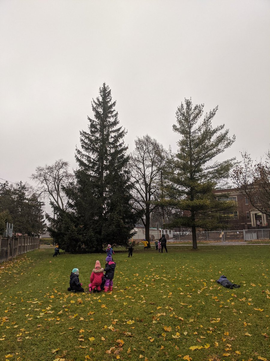 Meeting of the minds on this beautifully mild and grey morning