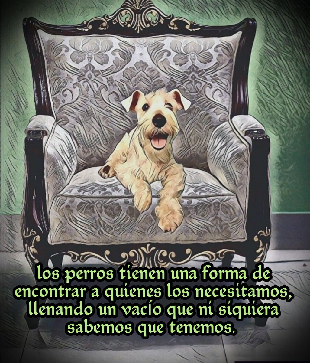 amigoswikipets's tweet photo. https://t.co/59myzoMPRj