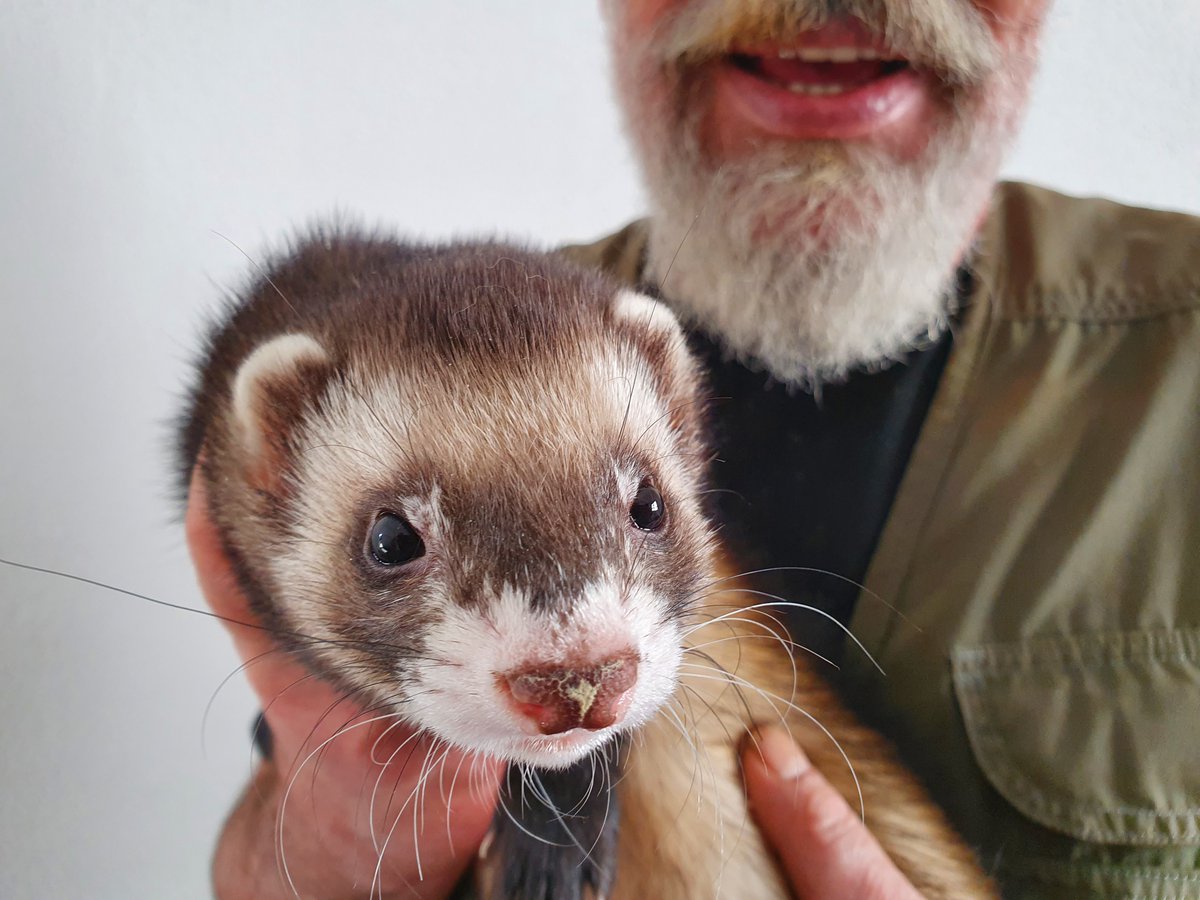 gabiru (@saporockstar) | Twitter