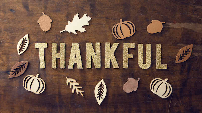 TaggartAgency's tweet photo. Happy Thanksgiving from your friends at Taggart! https://t.co/47Z0pyQBlS
