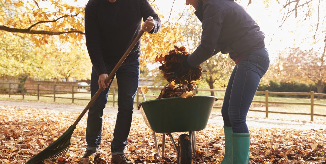 If you can't make it to a Hancock Wellness Center every day this winter, use your fall and winter chores to add more movement to your life!