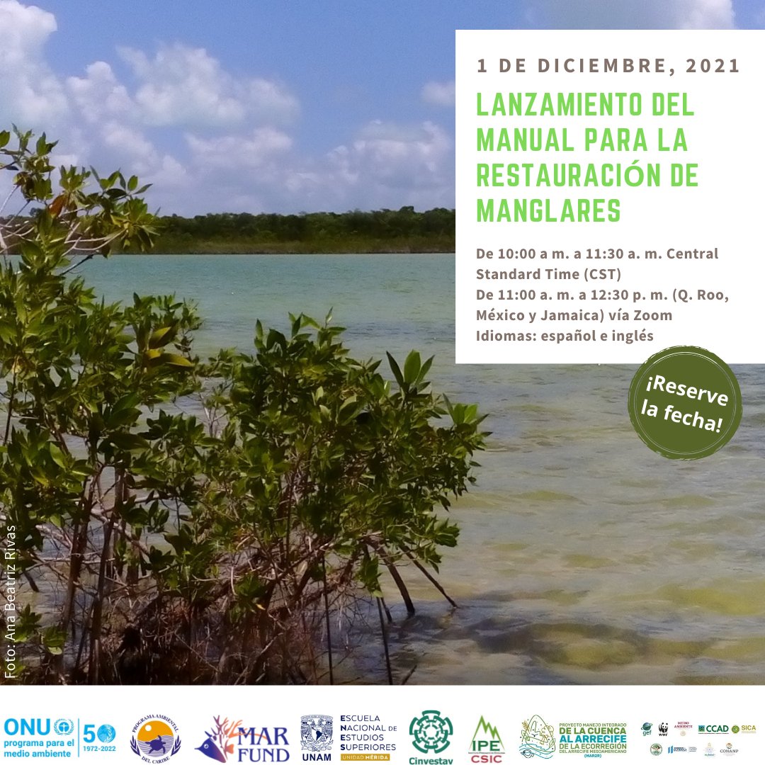 ¡Reserva la fecha! El próximo 1 de diciembre será la presentación virtual del Manual para la Restauración de Manglares. Esta actividad es impulsada por #MARFund. Próximamente compartiremos el enlace para que se registren todas las personas interesadas en participar.🥳🥳🥳