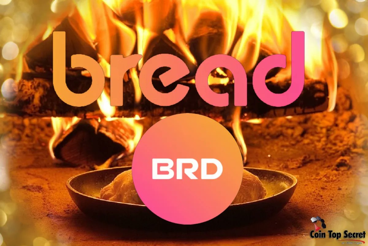 CoinTopSecret1's tweet photo. #Bread Token (BRD) Has Risen In Price By 500% Overnight
$BRD #Coinbase #Breadwallet #cryptomarket #crypto
https://t.co/QAZCTZBLtn https://t.co/FQaADKmJzP