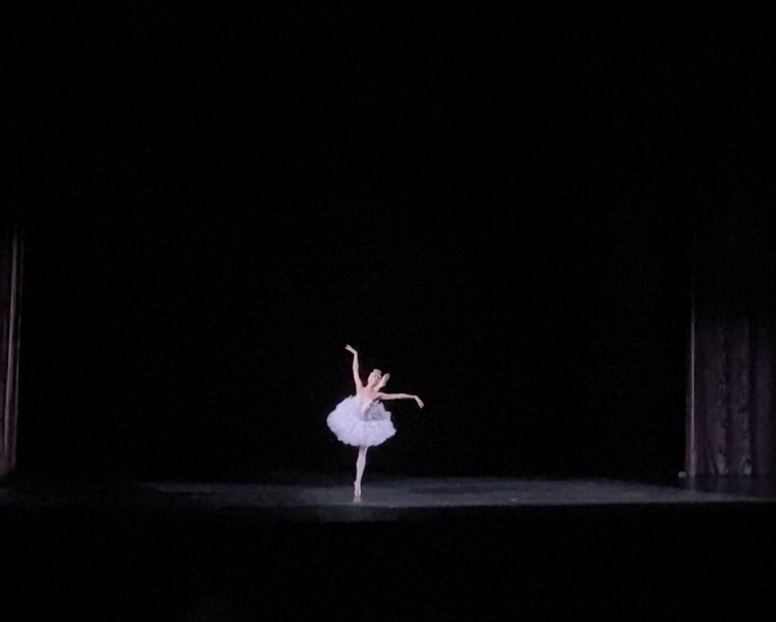 nvvll2's tweet photo. Swan lake 🦢 https://t.co/gOxoaMmhSO