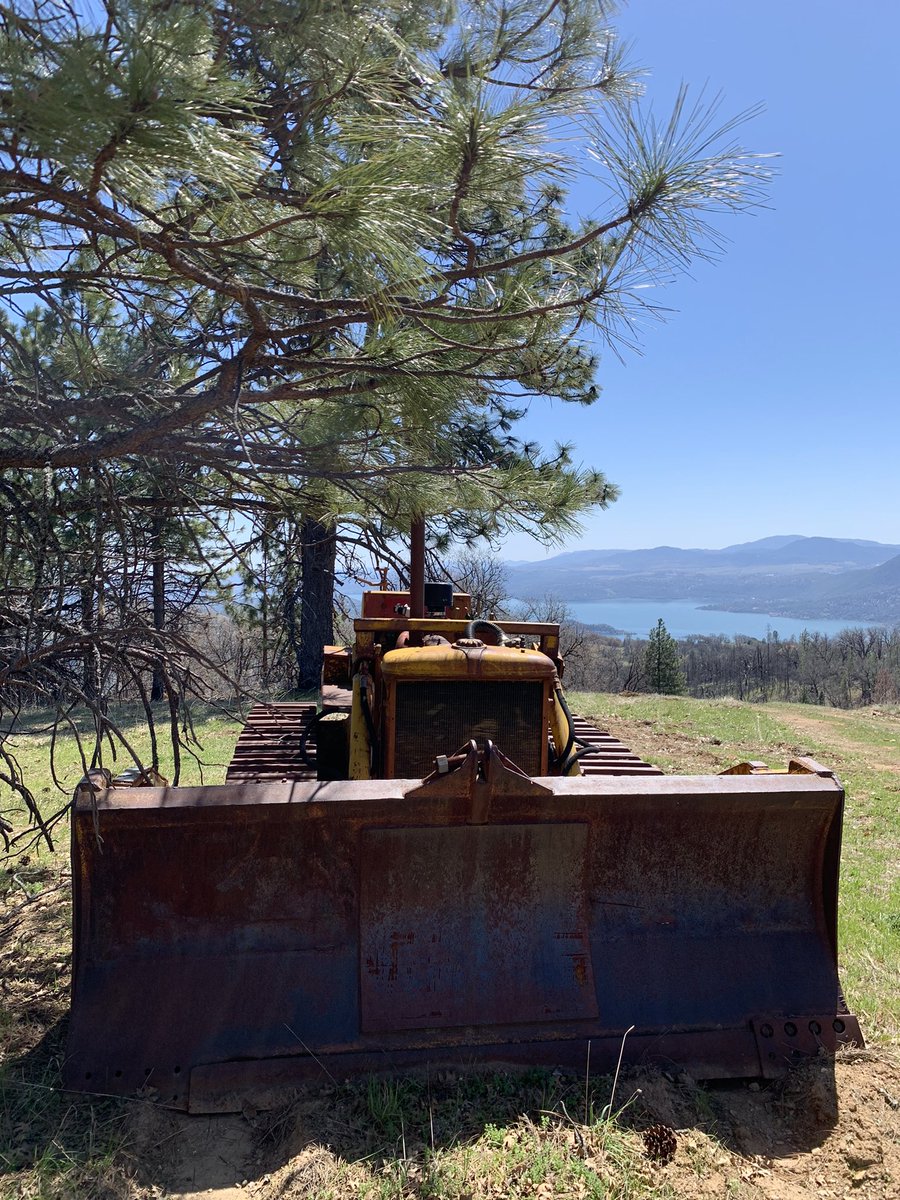 Sugarmade Inc (OTC:SGMD) tweet media