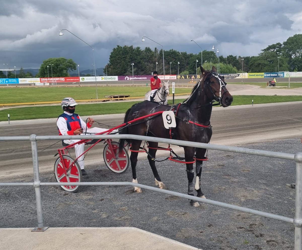 beta_vet's tweet photo. Fabulous run from the @Mattykiwiwhite trained Optical Illusion to come out on top in the BETAVET PREPARE MOBILE PACE at @cambridgeracewy last night 

#preparedonbetavet   #mwhiteracing   #cambridgeraceway https://t.co/xlG0Kd07qt