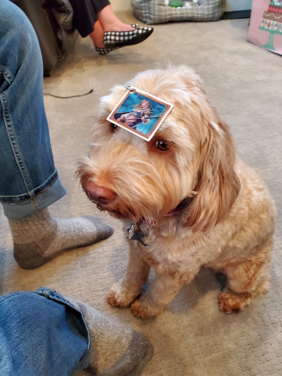 JacksonJoe37's tweet photo. Jaina with her apprentice sorceress, Ripley the geodog.

#wowcache @Zmangames_ https://t.co/qA6Khx94LJ
