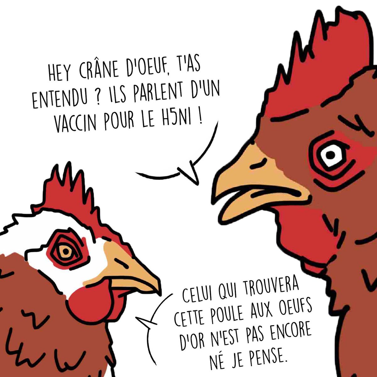 mammouth_media's tweet photo. [REPORTAGE] H5N1 : Poules confinées, poules déprimées ?

🐔Les #poules sont confinées, en cause le #H5N1.
Comment vivent-elles ce #lockdown ? La réponse en vidéo !
À voir ici 👉 https://t.co/Wdn7zvvnab
📽️Reportage réalisé par @youri_vo , @Jeromevertommen , @valentine_voros https://t.co/fHQRkctixZ